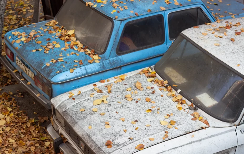 Where to Scrap My Car