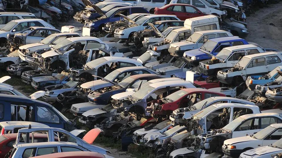 Cash For Cars Maitland