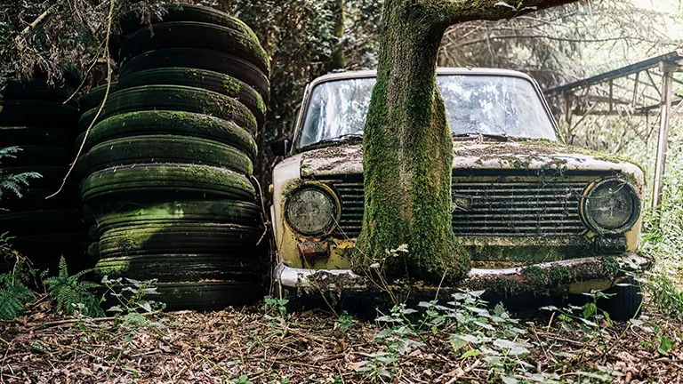 Cash For Cars hunter