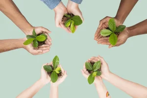 eco-friendly scrap car removal Singleton