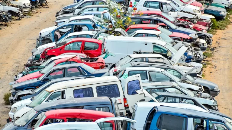 top Cash For Cars hunter