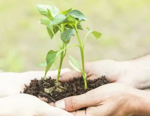 scrap car removal Cessnock